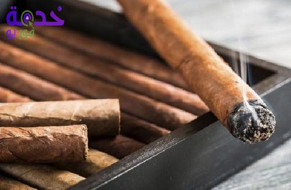 سيجار 
