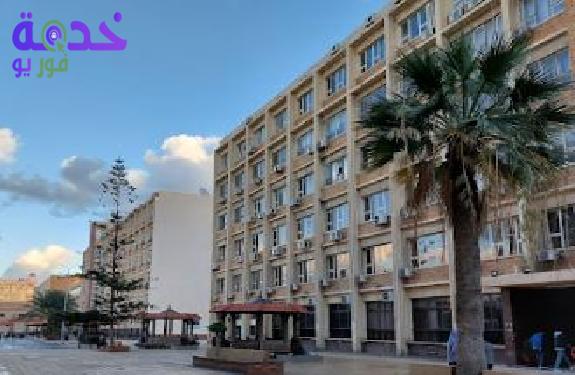 كلية حقوق الإسكندرية 