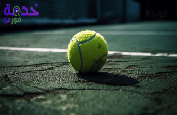 بطولة باريس للتنس 2025 