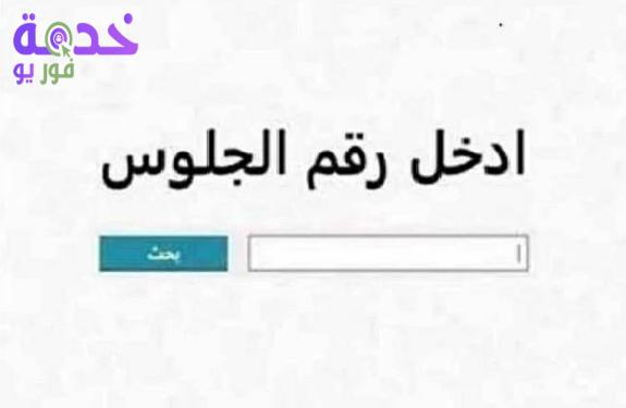 استعلم فورا.. نتيجة الصف الرابع الابتدائي الترم الثاني 2026 القاهرة…